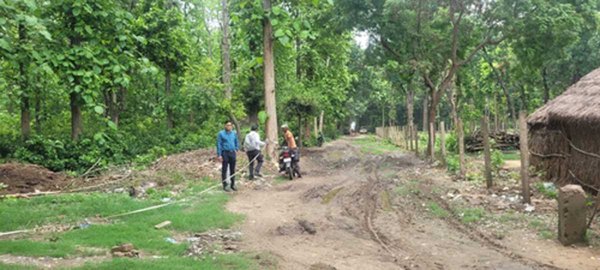 आजादी के 76 साल बाद विकास की मुख्य धारा से जुड़ेगा गोण्डा का वनटांगिया समुदाय